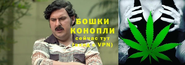 гидра Михайловка