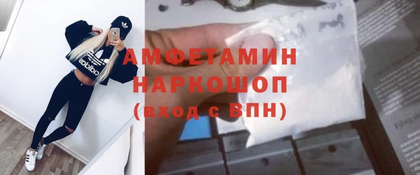 гидра Михайловка