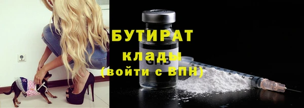 гидра Михайловка