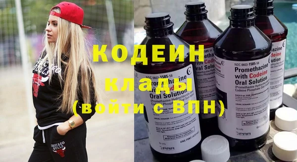 хмурый Михайловск