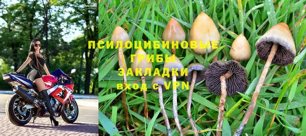 хмурый Михайловск