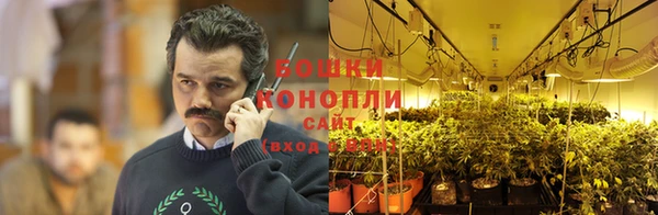 гидра Михайловка