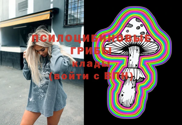 гидра Михайловка